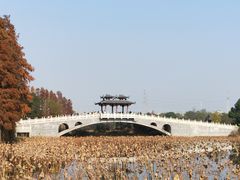 -东湖落雁景区