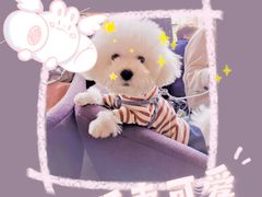 -JUJU韩式烤肉·干杯小酒馆