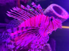 -沈阳海洋探索中心