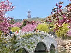 -石岛赤山风景区