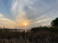 -苏州太湖湖滨国家湿地公园