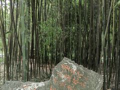 -望江楼公园