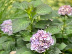 -常州古运河南大街文化旅游区-人民公园