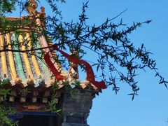 -苍岩山风景名胜区