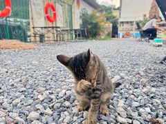 -DGE季风钓虾营地·团建·聚会