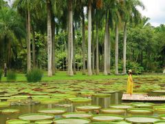 -中国科学院西双版纳热带植物园