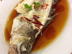 -添福来墨鱼饺子 · 海鲜东北菜(泡崖店)