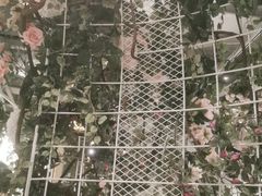-C'è Amore爱意(亿合城店)