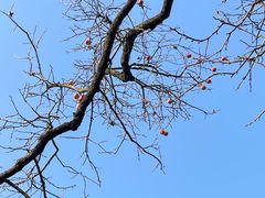 -秦始皇帝陵博物院(兵马俑)