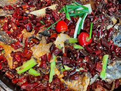 -老板恋上鱼(印象城店)