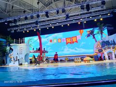 -三亚海昌梦幻海洋不夜城