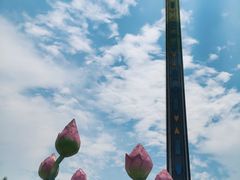 -南京银杏湖乐园