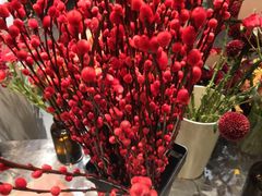 -植物学家的女儿(北马道巷店)