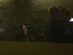 -新竹里馆·花园餐厅(兴苑路店)