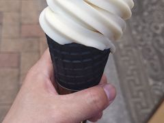 -仙境豆夫(步行街旗舰店)