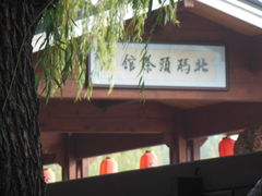 -紫竹院公园冰场