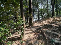 -火炉山森林公园