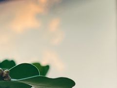 -汇龙潭