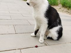 -元大都城垣遗址公园