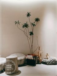 -3AM·S HAIR SALON烫发染发接发