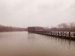 -溱湖国家湿地公园