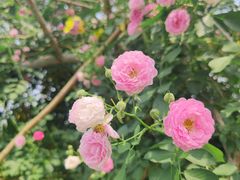 -国家植物园