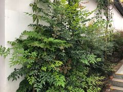 -瑞丰园庭院餐厅·白族传统家常菜