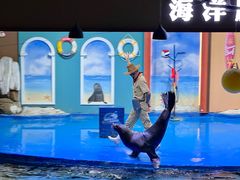 -重庆欢乐海底世界