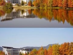 -浙江农林大学(东湖校区)