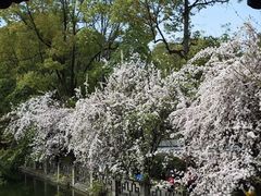 -棠湖公园