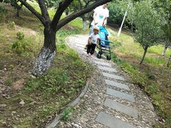 -白马涧龙池景区