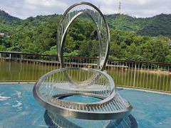 -银湖山郊野公园-相思林