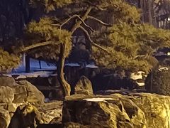 -西安曲江寒窑遗址公园