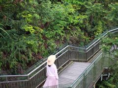 -龙川湾千岛湖国际垂钓中心