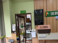 -瑞鹏宠物医院·夜间急症·心超·猫科(祖庙分店)