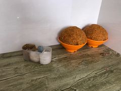 -阿麟馄饨(延长路店)