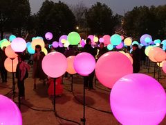 -锦江乐园舞狸花花游园会(夜场专享)