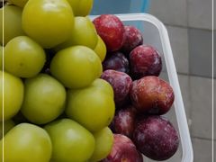 -百果园PAGODA(法华镇路店)