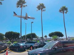 -In-N-Out Burger(LAX)