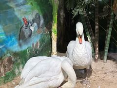 -海合安武汉极地海洋公园