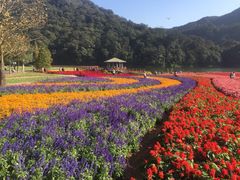 -广州市石门国家森林公园