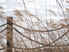 -野鸭湖国家湿地公园