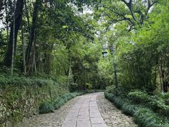 -法云安缦酒店