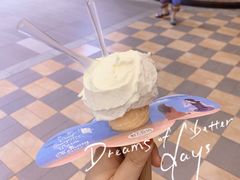 -野人先生现做冰淇淋(西安赛格店)