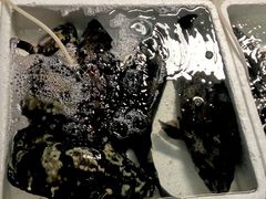 -板桥海鲜广场(文明东店)