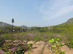 -南京老山国家森林公园
