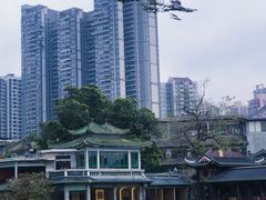 -荔湾湖公园
