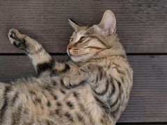 -UNI UNI(环亚凯瑟琳店)