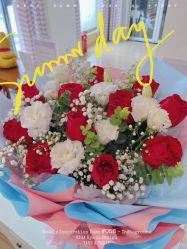 -SILKTONE诗丽堂美容