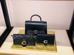 -COACH蔻驰(双安商场店)